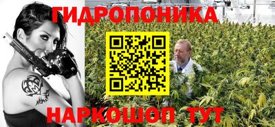 мет Можга