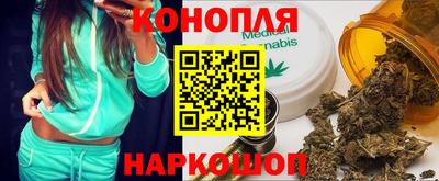 Альфа ПВП Моздок
