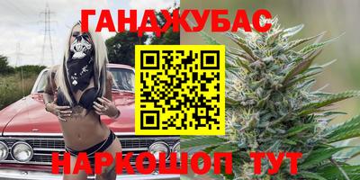 Альфа ПВП Моздок