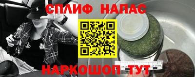 Альфа ПВП Моздок