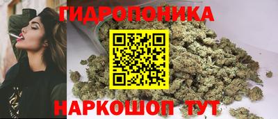 Альфа ПВП Моздок