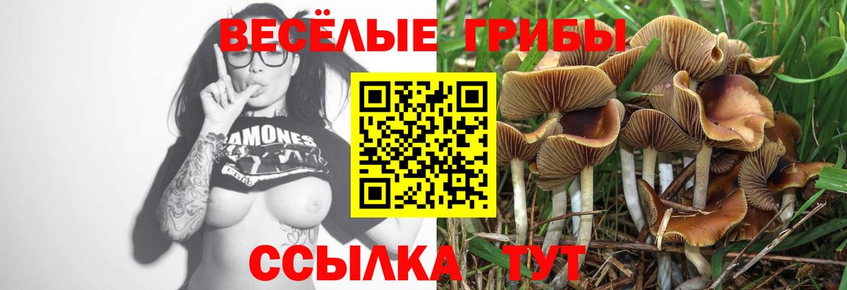 Псилоцибиновые грибы Magic Shrooms Орехово-Зуево
